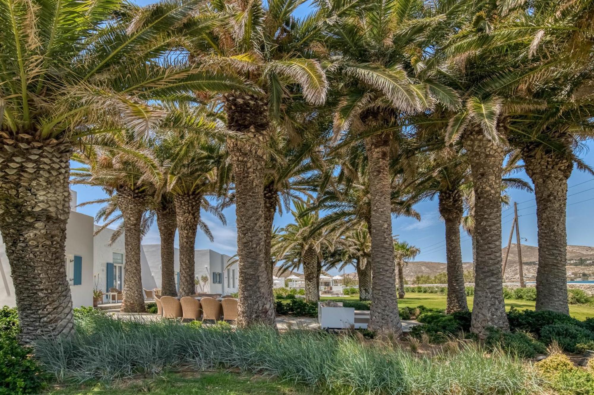 Villa Bellonia Náousa Exteriör bild